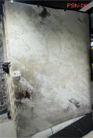 GL-PSN-06 Carpet 200 x 290 cm